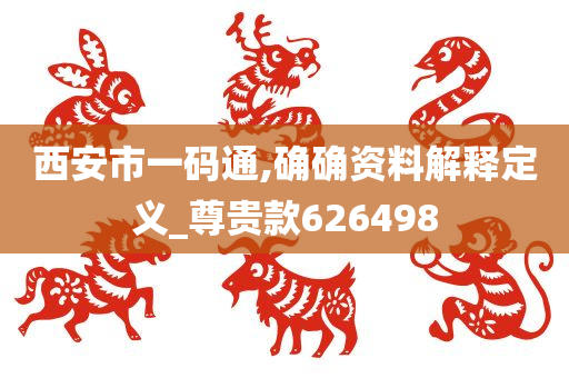 西安市一码通,确确资料解释定义_尊贵款626498