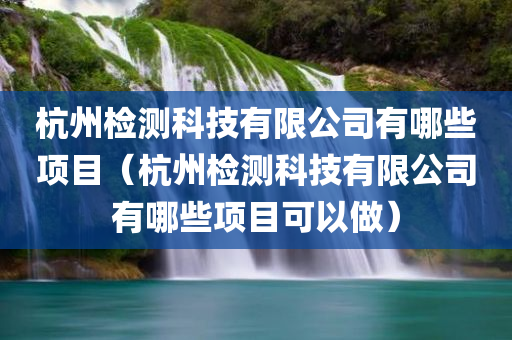 杭州检测科技有限公司有哪些项目（杭州检测科技有限公司有哪些项目可以做）