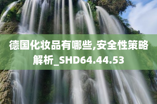 德国化妆品有哪些,安全性策略解析_SHD64.44.53