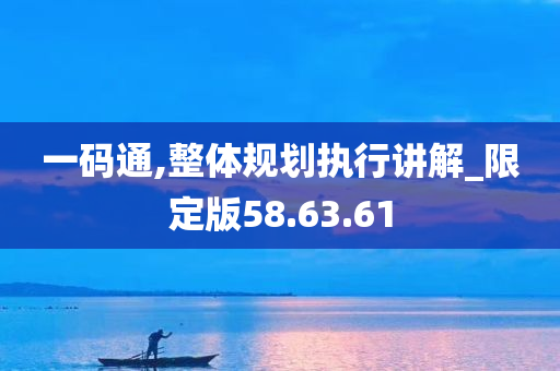 一码通,整体规划执行讲解_限定版58.63.61