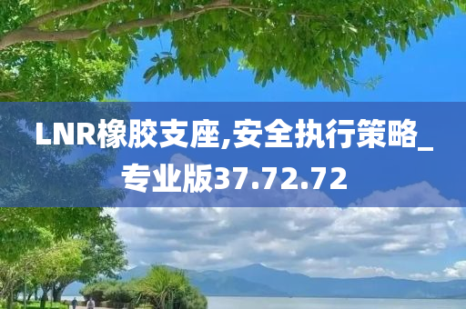 LNR橡胶支座,安全执行策略_专业版37.72.72