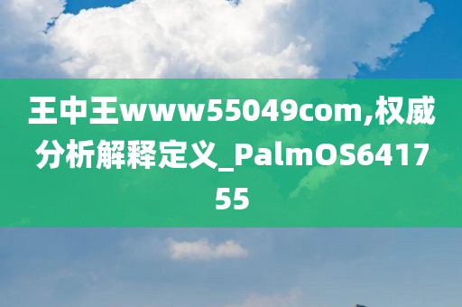 王中王www55049com,权威分析解释定义_PalmOS641755