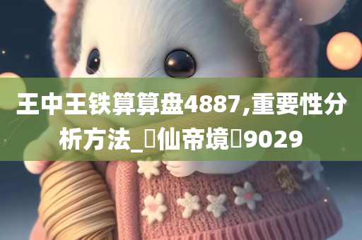 王中王铁算算盘4887,重要性分析方法_‌仙帝境‌9029