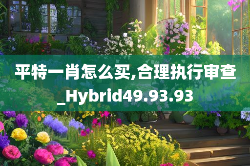 平特一肖怎么买,合理执行审查_Hybrid49.93.93