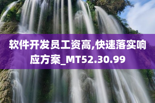 软件开发员工资高,快速落实响应方案_MT52.30.99