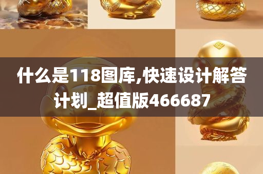 什么是118图库,快速设计解答计划_超值版466687