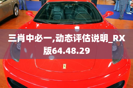 三肖中必一,动态评估说明_RX版64.48.29