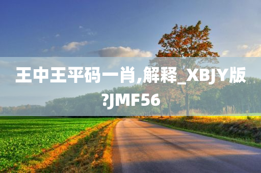 王中王平码一肖,解释_XBJY版?JMF56