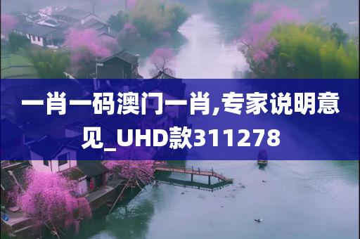 一肖一码澳门一肖,专家说明意见_UHD款311278