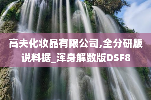 高夫化妆品有限公司,全分研版说料据_浑身解数版DSF8