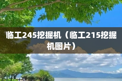 临工245挖掘机（临工215挖掘机图片）