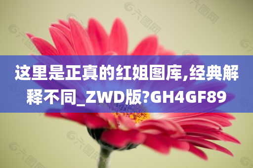 这里是正真的红姐图库,经典解释不同_ZWD版?GH4GF89