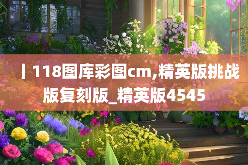 丨118图库彩图cm,精英版挑战版复刻版_精英版4545