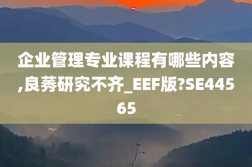 企业管理专业课程有哪些内容,良莠研究不齐_EEF版?SE44565