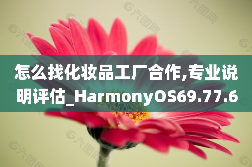 怎么找化妆品工厂合作,专业说明评估_HarmonyOS69.77.60