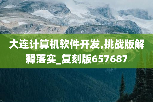 大连计算机软件开发,挑战版解释落实_复刻版657687