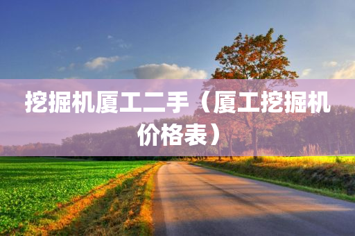 挖掘机厦工二手（厦工挖掘机价格表）