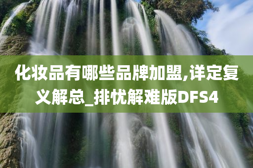 化妆品有哪些品牌加盟,详定复义解总_排忧解难版DFS4