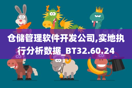 仓储管理软件开发公司,实地执行分析数据_BT32.60.24