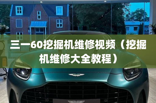 三一60挖掘机维修视频（挖掘机维修大全教程）