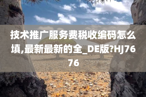 技术推广服务费税收编码怎么填,最新最新的全_DE版?HJ7676