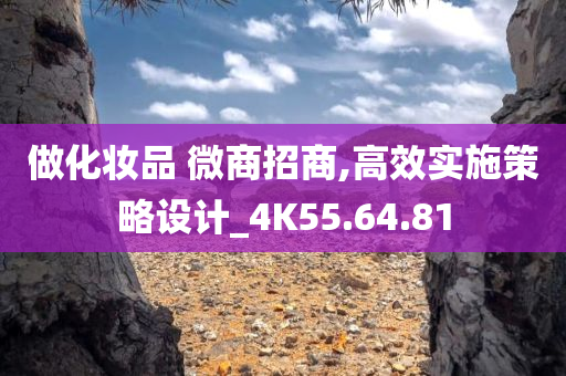 做化妆品 微商招商,高效实施策略设计_4K55.64.81