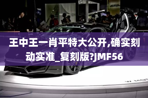 王中王一肖平特大公开,确实刻动实准_复刻版?JMF56