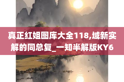 真正红姐图库大全118,域新实解的同总复_一知半解版KY6