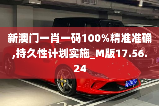 新澳门一肖一码100%精准准确,持久性计划实施_M版17.56.24