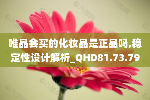 唯品会买的化妆品是正品吗,稳定性设计解析_QHD81.73.79