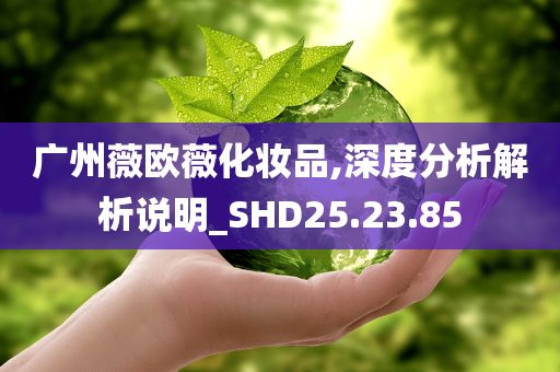 广州薇欧薇化妆品,深度分析解析说明_SHD25.23.85