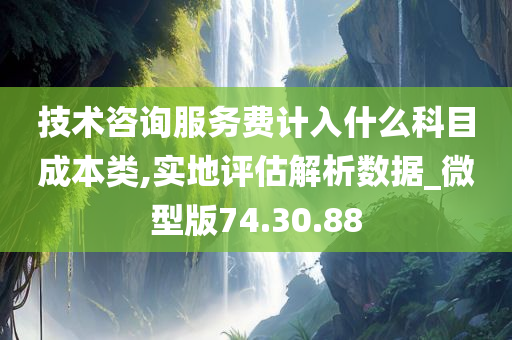 技术咨询服务费计入什么科目成本类,实地评估解析数据_微型版74.30.88