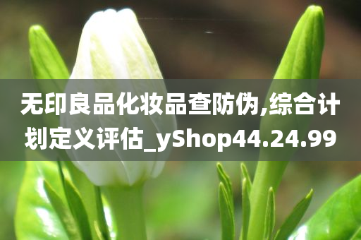 无印良品化妆品查防伪,综合计划定义评估_yShop44.24.99