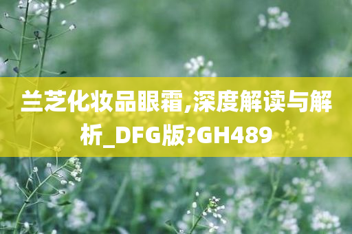 兰芝化妆品眼霜,深度解读与解析_DFG版?GH489