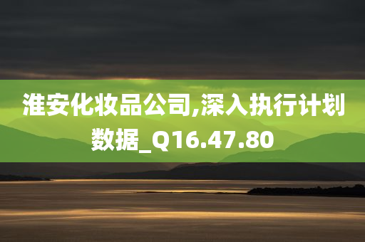 淮安化妆品公司,深入执行计划数据_Q16.47.80