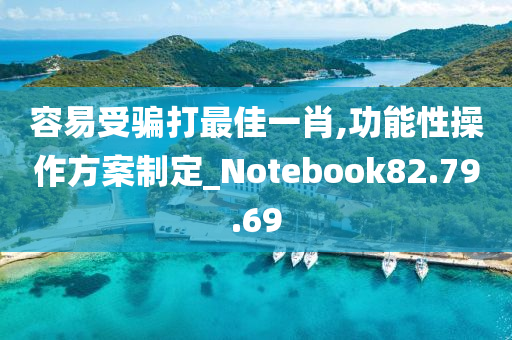 容易受骗打最佳一肖,功能性操作方案制定_Notebook82.79.69