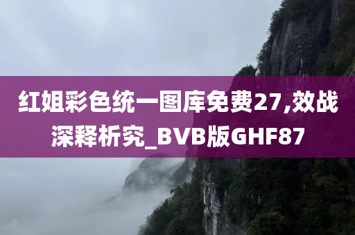 红姐彩色统一图库免费27,效战深释析究_BVB版GHF87