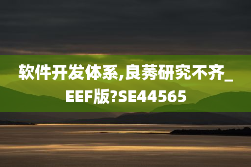 软件开发体系,良莠研究不齐_EEF版?SE44565