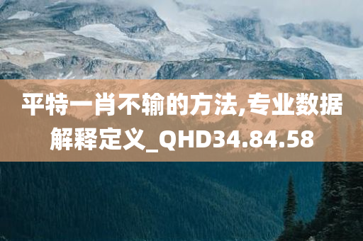 平特一肖不输的方法,专业数据解释定义_QHD34.84.58