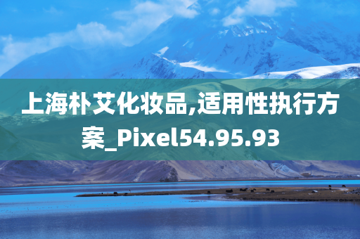 上海朴艾化妆品,适用性执行方案_Pixel54.95.93