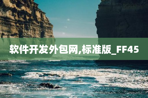 软件开发外包网,标准版_FF45