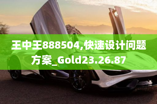 王中王888504,快速设计问题方案_Gold23.26.87