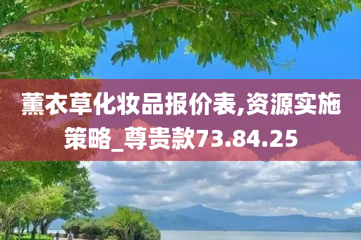 薰衣草化妆品报价表,资源实施策略_尊贵款73.84.25