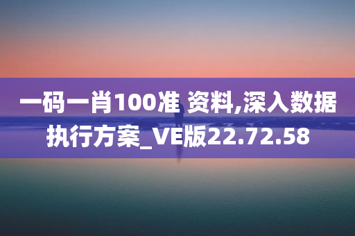 一码一肖100准 资料,深入数据执行方案_VE版22.72.58