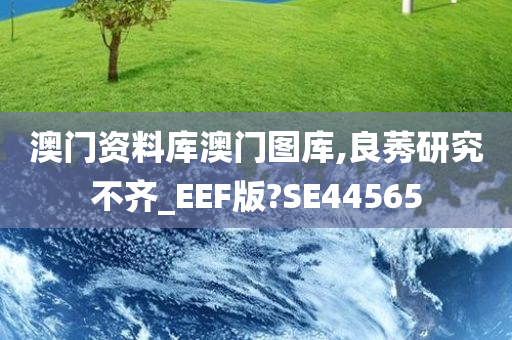 澳门资料库澳门图库,良莠研究不齐_EEF版?SE44565