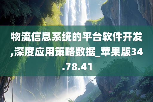 物流信息系统的平台软件开发,深度应用策略数据_苹果版34.78.41