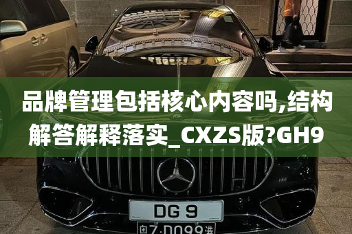 品牌管理包括核心内容吗,结构解答解释落实_CXZS版?GH9