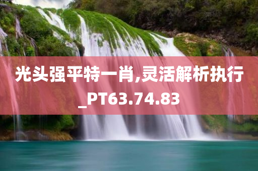 光头强平特一肖,灵活解析执行_PT63.74.83