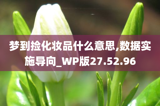 梦到捡化妆品什么意思,数据实施导向_WP版27.52.96