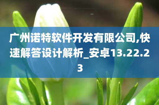 广州诺特软件开发有限公司,快速解答设计解析_安卓13.22.23